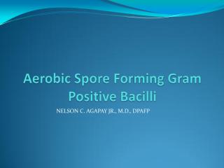 aerobic spore forming gram positive bacilli[1].pdf
