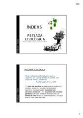 Indexs.pdf